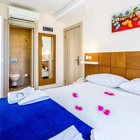 Artemis Hotel 4*
